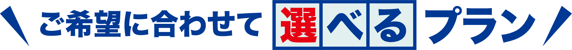 ご希望に合わせて選べるプラン